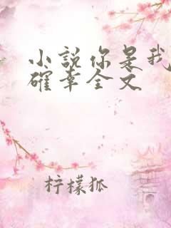 小说你是我的小确幸全文