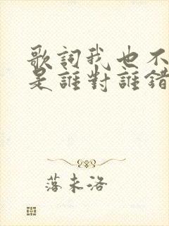 歌词我也不知道是谁对谁错是什么歌