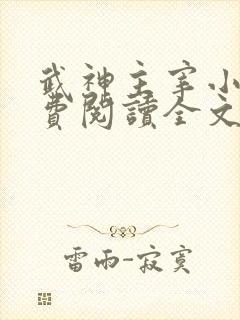 武神主宰小说免费阅读全文免