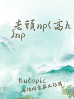 老头np(高h)np