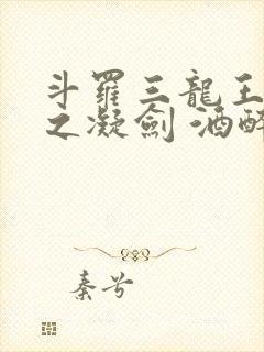 斗罗三龙王传说之凝剑 酒醉而言