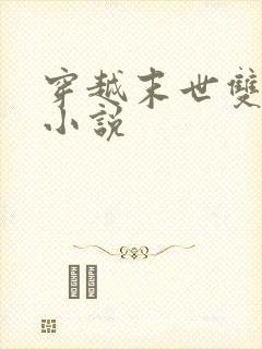 穿越末世双男主小说