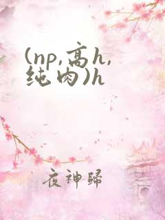 (np,高h,纯肉)h