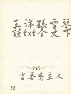 王洋孙雪琴的小说txt全文下载