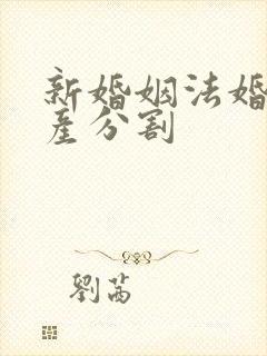 新婚姻法婚前房产分割