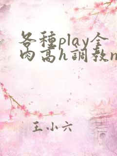 各种play全肉高h调教np