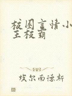 校园言情小说男主校霸