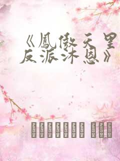 《凤傲天里黄毛反派沐恩》小说