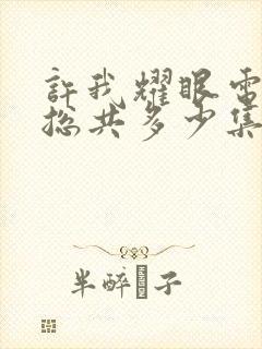 许我耀眼电视剧总共多少集