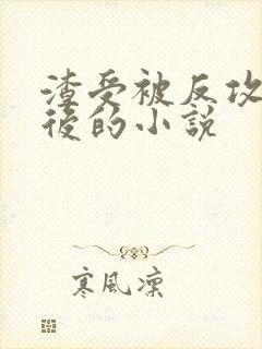 渣受被反攻催眠后的小说