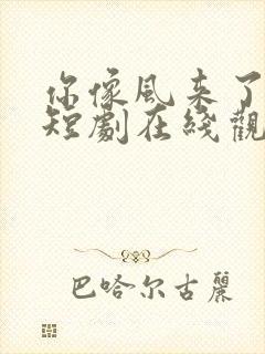 你像风来了又走短剧在线观看