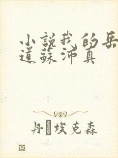 小说我的岳母林道苏沛真