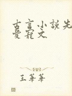 古言小说先婚后爱宠文