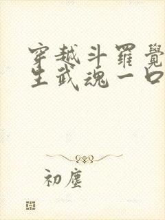 穿越斗罗觉醒十生武魂一口气看完