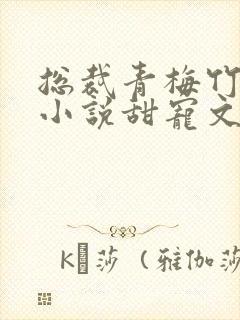 总裁青梅竹马的小说甜宠文