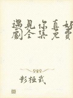 遇见你真好电视剧全集免费观看