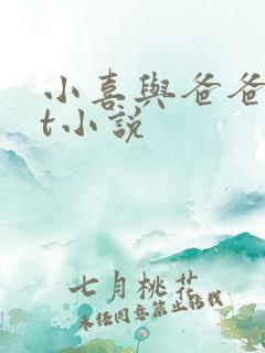 小喜与爸爸txt小说