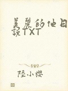 美丽的他日剧小说TXT