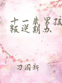 十一岁男孩进入叛逆期办