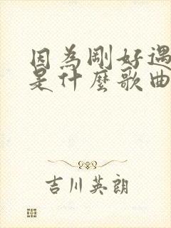 因为刚好遇见你是什么歌曲的歌词