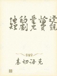 他的爱恰逢其时短剧免费观看