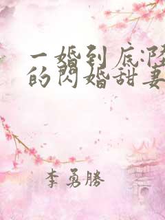 一婚到底:陆少的闪婚甜妻