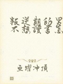 叛逆期的男孩子不想读书怎么办