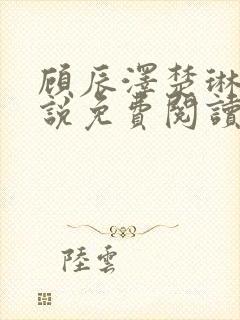 顾辰泽楚琳薇小说免费阅读最新章节