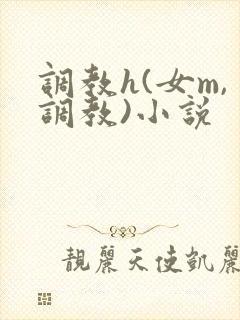 调教h(女m,调教)小说