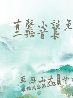 有声小说免费听二号首长