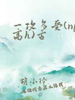 一攻多受(np高h)古