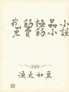 我的极品小姨全免费的小说