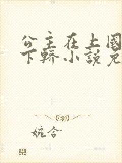 公主在上国师请下轿小说免费阅读