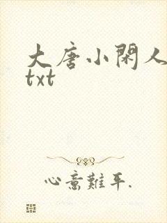 大唐小闲人全本txt