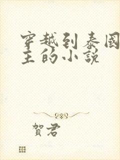 穿越到泰国双男主的小说