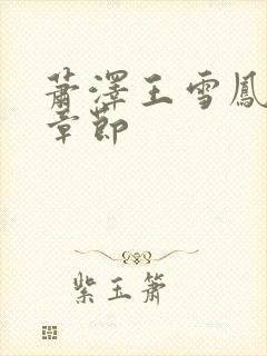 萧泽王雪凤最新章节