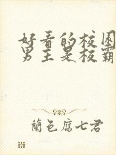 好看的校园小说男主是校霸