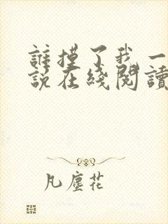 谁摸了我一下小说在线阅读