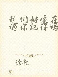 我们好像在哪见过你记得吗是什么歌