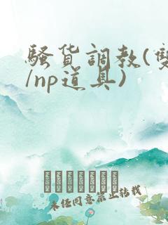 骚货调教(双性/np道具)