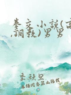 拳交小说(高h,调教)男男