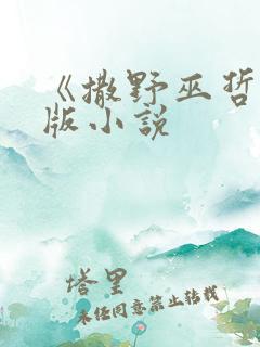 《撒野巫哲》原版小说