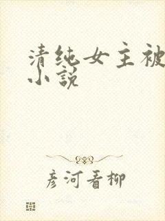 清纯女主被日常小说