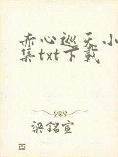 赤心巡天小说全集txt下载
