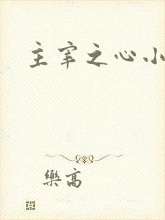 主宰之心小说