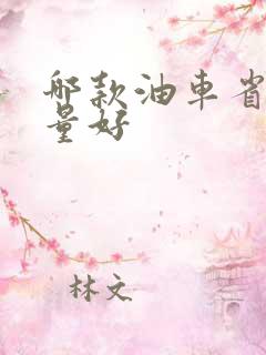 哪款油车省油质量好