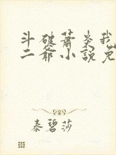 斗破萧炎我是你二爷小说免费阅读