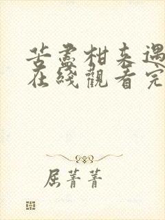 苦尽柑来遇见你在线观看完整免费