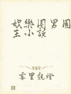 娱乐圈男团双男主小说