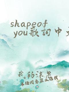 shapeof you歌词中文
